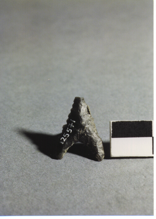 CUSPIDE DI FRECCIA A BASE CONCAVA