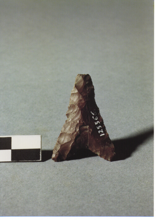 CUSPIDE DI FRECCIA A BASE CONCAVA