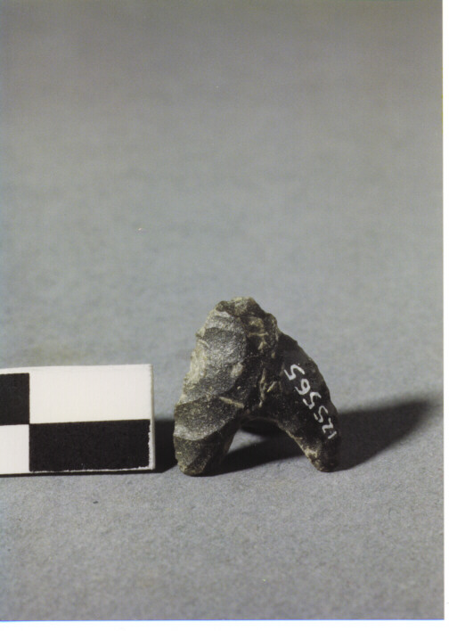 CUSPIDE DI FRECCIA A BASE CONCAVA