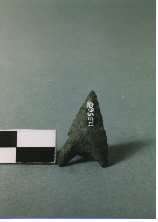 CUSPIDE DI FRECCIA A BASE CONCAVA