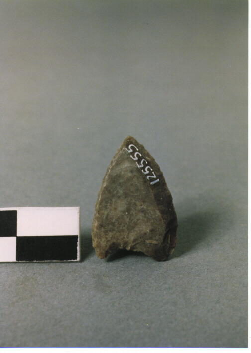 CUSPIDE DI FRECCIA A BASE CONCAVA