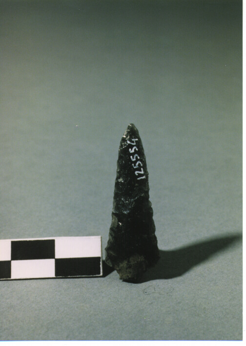 CUSPIDE DI FRECCIA ALLUNGATA