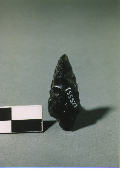 CUSPIDE DI FRECCIA CON PEDUNCOLO