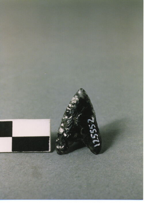 CUSPIDE DI FRECCIA A BASE CONCAVA