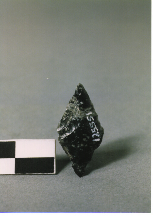 CUSPIDE DI FRECCIA LOSANGICA