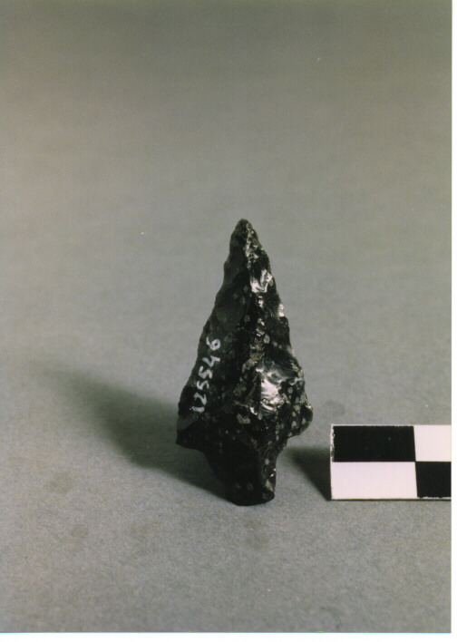 CUSPIDE DI FRECCIA CON PEDUNCOLO