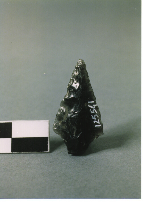 CUSPIDE DI FRECCIA CON PEDUNCOLO