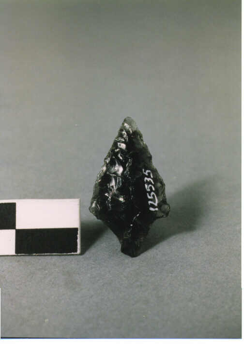 CUSPIDE DI FRECCIA CON PEDUNCOLO