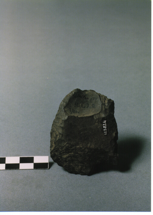 RASCHIATOIO DOPPIO LATERALE