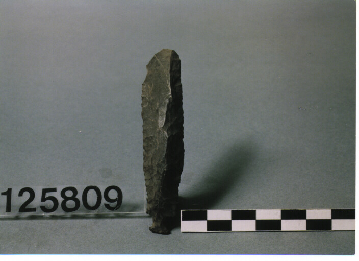 COLTELLO CON PEDUNCOLO