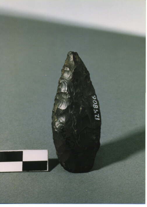 CUSPIDE DI FRECCIA LOSANGICA