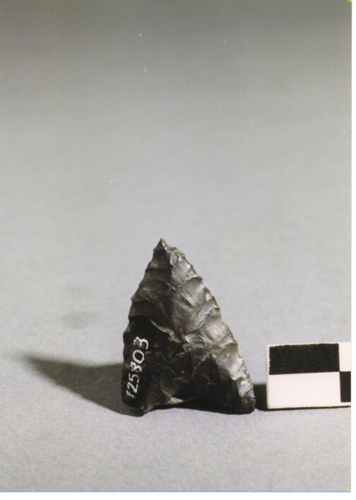 CUSPIDE DI FRECCIA A BASE CONCAVA