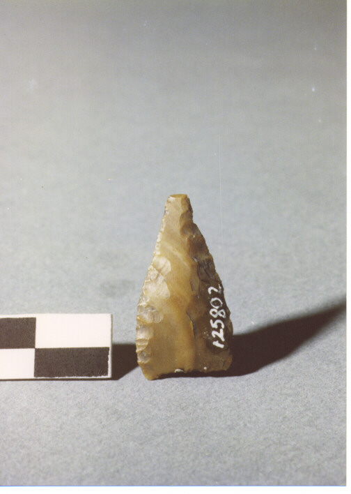 CUSPIDE DI FRECCIA A BASE CONCAVA