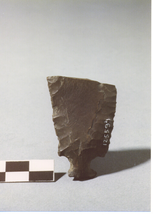 COLTELLO CON PEDUNCOLO