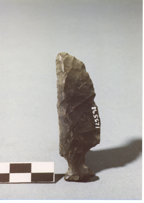 COLTELLO A DORSO CON PEDUNCOLO