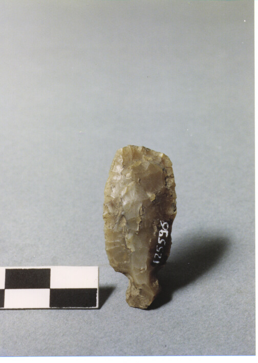 COLTELLO CON PEDUNCOLO