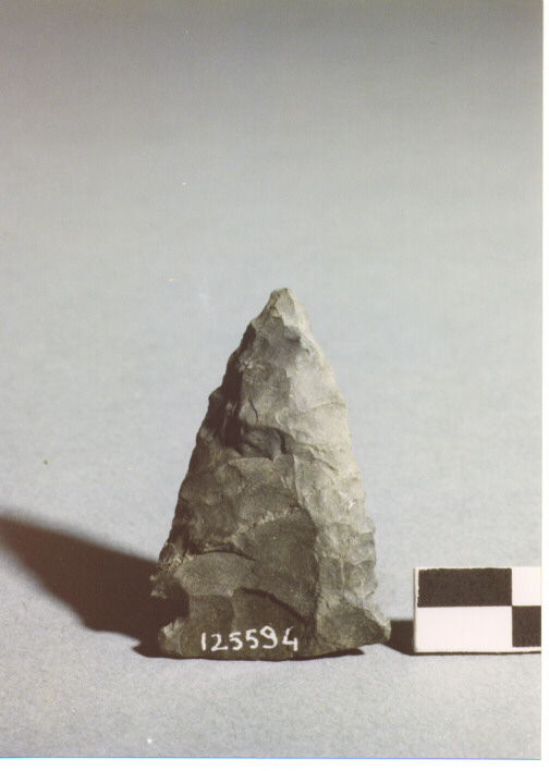 CUSPIDE DI FRECCIA A BASE CONVESSA