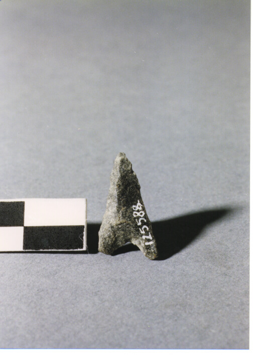 CUSPIDE DI FRECCIA A BASE CONCAVA