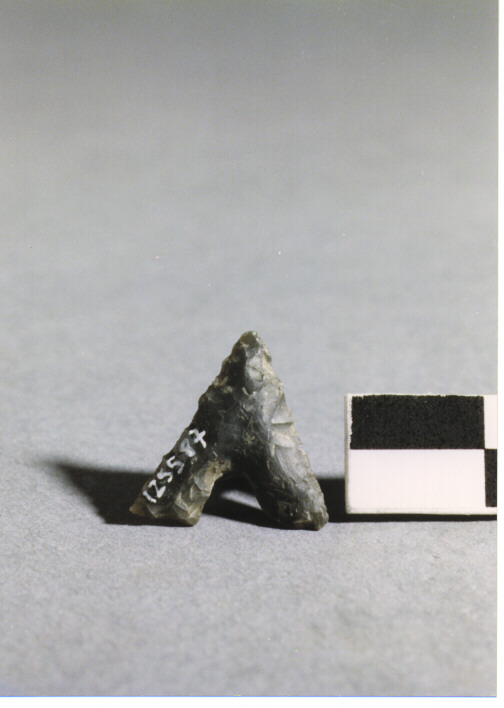 CUSPIDE DI FRECCIA A BASE CONCAVA