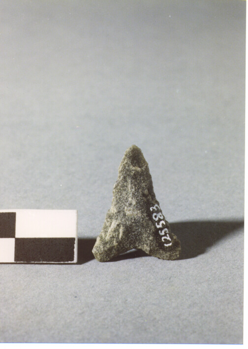 CUSPIDE DI FRECCIA A BASE CONCAVA