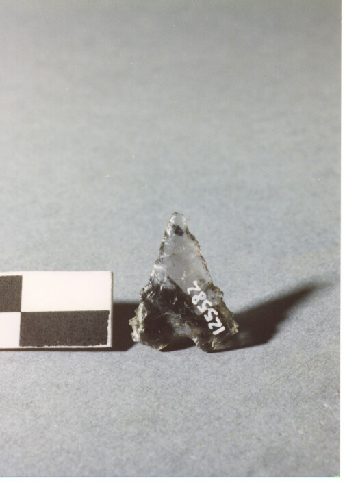 CUSPIDE DI FRECCIA A BASE CONCAVA