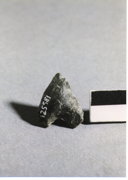 CUSPIDE DI FRECCIA A BASE CONCAVA