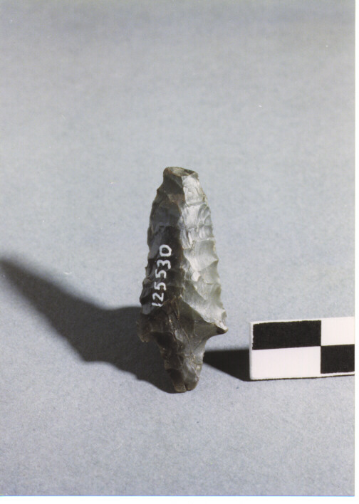 CUSPIDE DI FRECCIA CON PEDUNCOLO