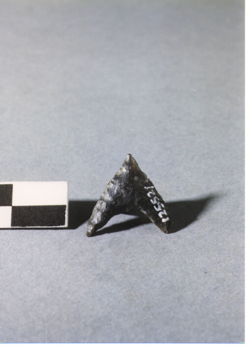 CUSPIDE DI FRECCIA A BASE CONCAVA