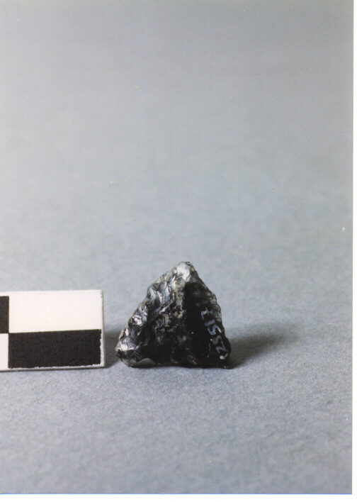 CUSPIDE DI FRECCIA A BASE CONCAVA