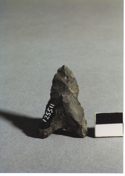 CUSPIDE DI FRECCIA A BASE CONCAVA