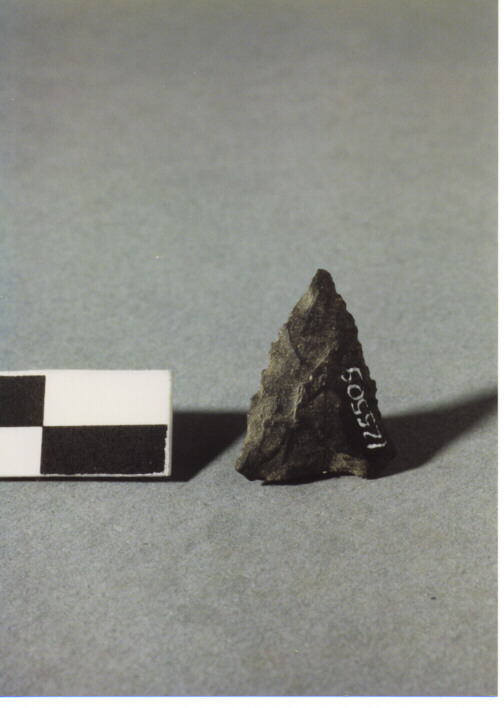 CUSPIDE DI FRECCIA A BASE CONCAVA