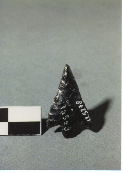 CUSPIDE CON PEDUNCOLO ED ALETTE