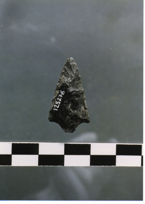 CUSPIDE DI FRECCIA CON PEDUNCOLO