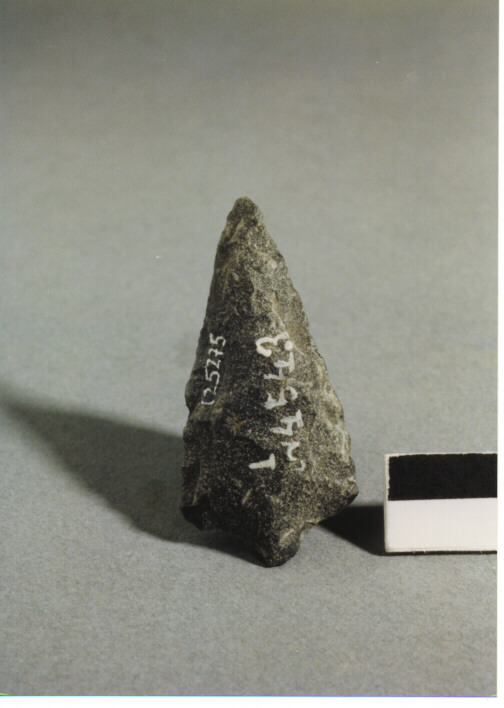 CUSPIDE DI FRECCIA CON PEDUNCOLO