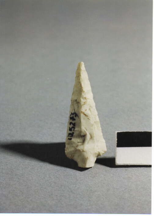 CUSPIDE DI FRECCIA CON PEDUNCOLO