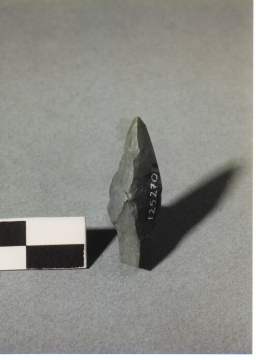 CUSPIDE DI FRECCIA CON PEDUNCOLO