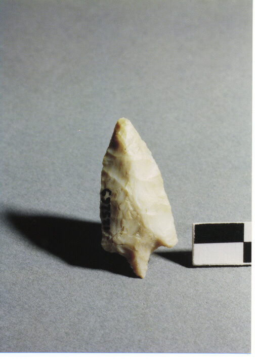 CUSPIDE DI FRECCIA CON PEDUNCOLO ED ALETTE