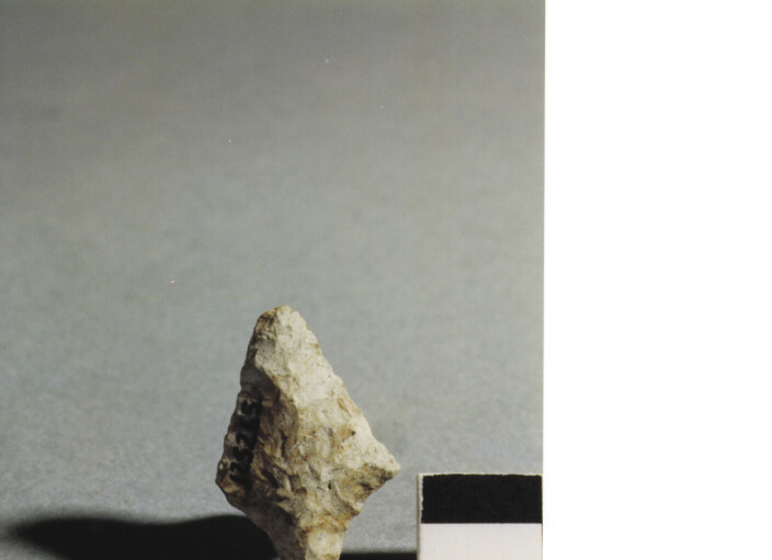 CUSPIDE DI FRECCIA CON PEDUNCOLO ED ALETTE