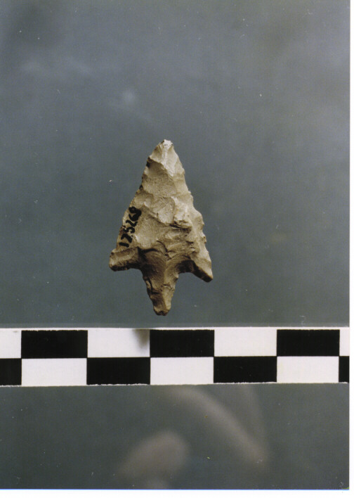 CUSPIDE DI FRECCIA CON PEDUNCOLO ED ALETTE