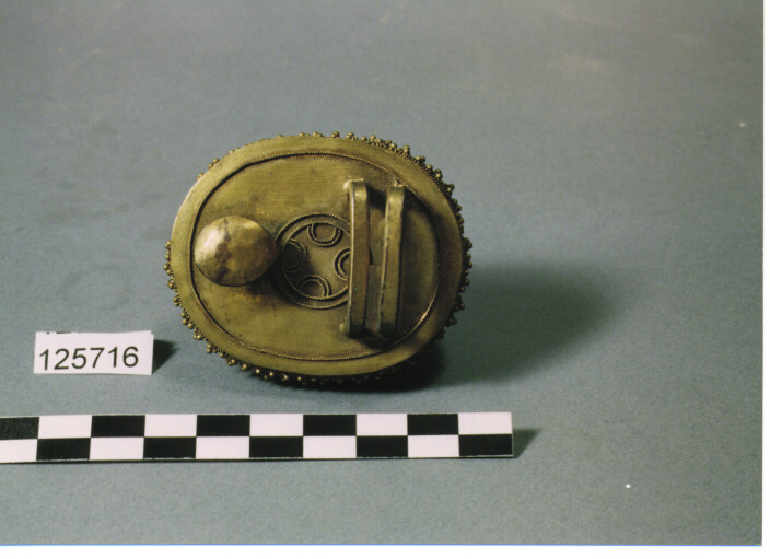 FIBBIA A GANCIO OVALOIDE