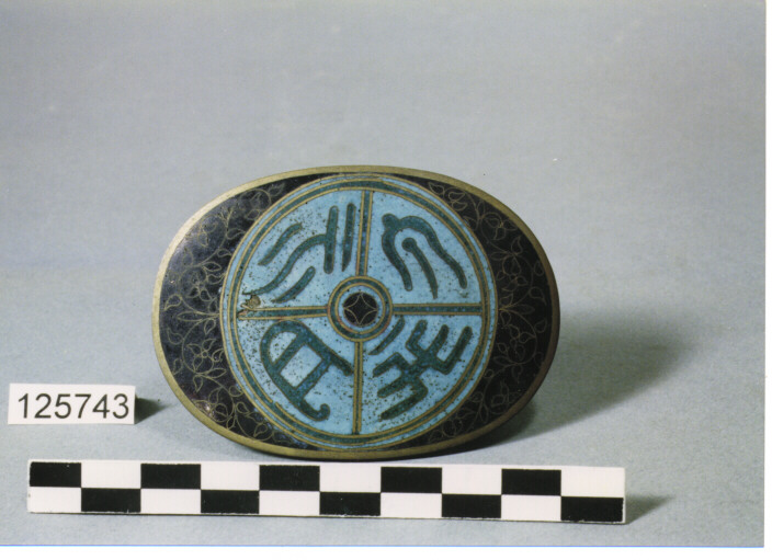 FIBBIA A GANCIO OVALE