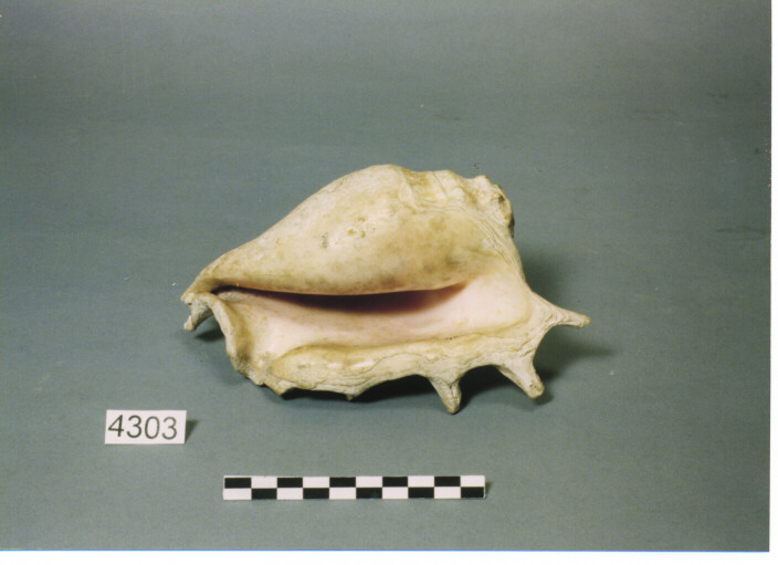 STRUMENTO MUSICALE AEROFONO