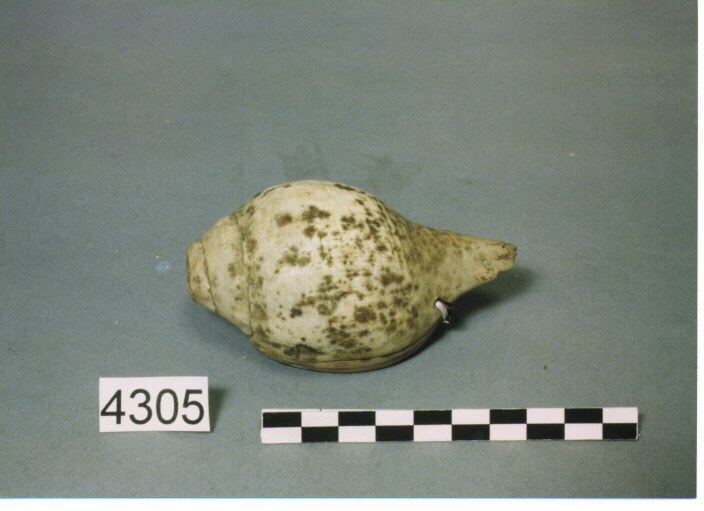 STRUMENTO MUSICALE AEROFONO