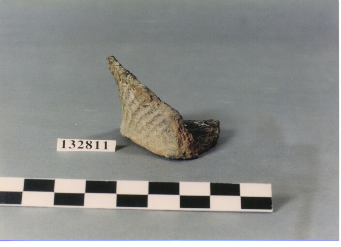 FONDO PIANO (FRAMMENTO) (JOMON)