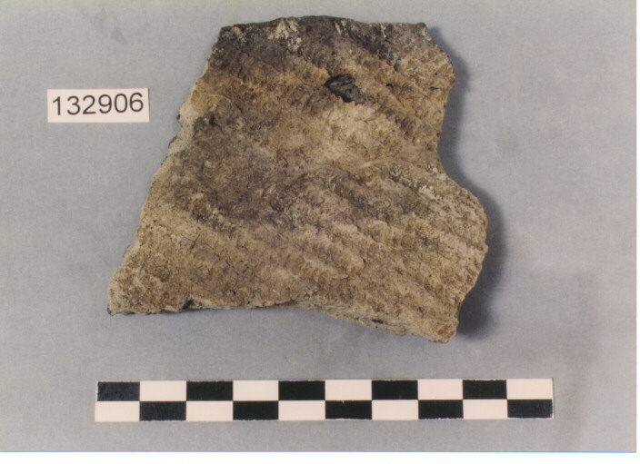 ORLO DI VASO (FRAMMENTO) (JOMON)