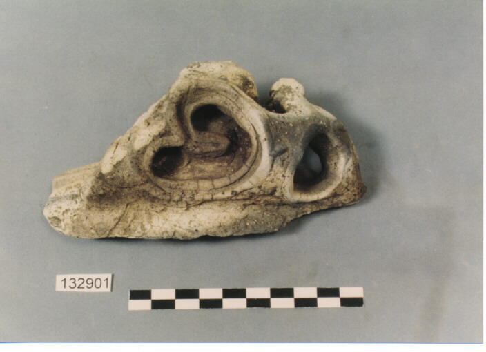 ANSA DI VASO APERTO (FRAMMENTO) (JOMON)