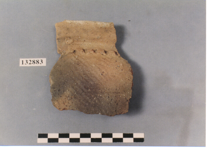 ORLO DI VASO (FRAMMENTO) (JOMON)