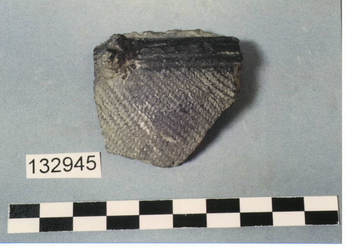 ORLO E PARETE DI VASO (FRAMMENTO) (JOMON)