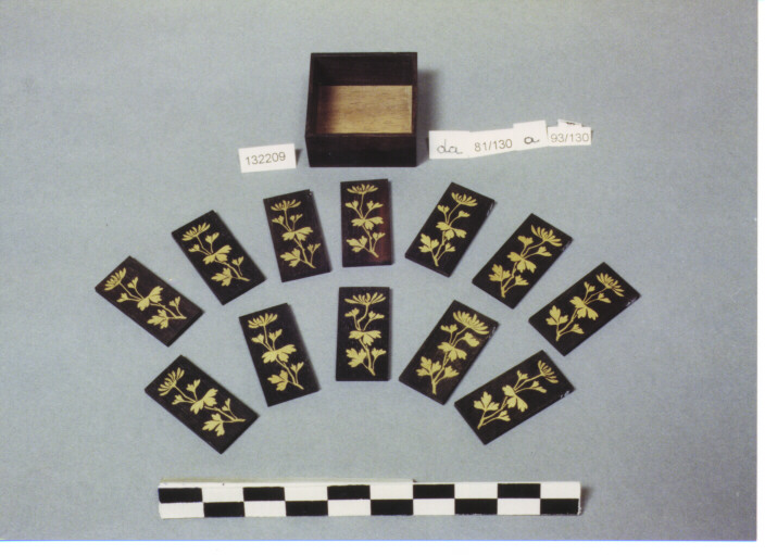 VALVA QUADRATA (ELEMENTO D'INSIEME)