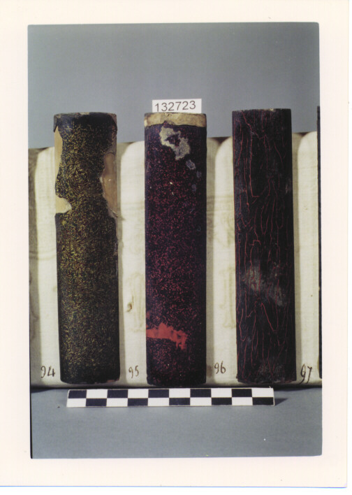 CAMPIONE PER FODERO DI SPADA